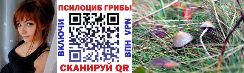 Галлюциногенные грибы GOLDEN TEACHER  наркотики  Котово 
